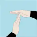 Time up: time to turn the dive and start heading back: Flat hand held roughly horizontal with tips of other flat hand's fingers touching the palm at right angles. Can also signify half of starting air remaining (in response to the "Pressure" signal).[41]