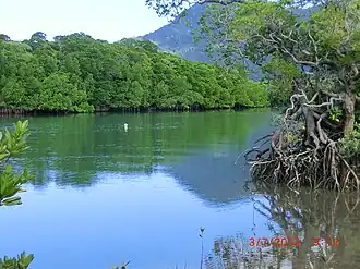Diwan landscape, 2013