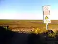 Overview of Donna Nook