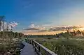 Dosenmoor