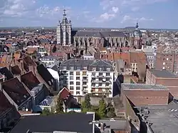 View of the city with St. Pierre church in the background