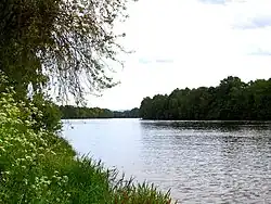 The Drammenselva downstream from Solbergelva.