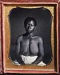 Drana daughter of Jack on B.F. Taylor Plantation, Columbia South Carolina [Picture # 1]