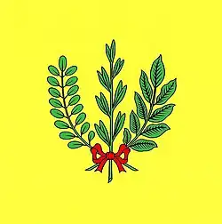 Flag of Șolcani with three twigs with leaves, tied together by a red ribbon