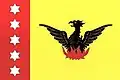 Flag of Telenești
