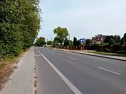 Lubartów-Kamionka Road, view towards Lubartów