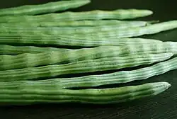 Moringga Fruit (Ilo: Bunga marunggay)