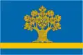 Flag of Dubovka