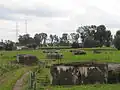 Bunkers in the meadow