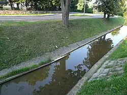 Dukiełka with raised water level