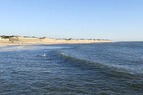 A 1,5&nbsp;km way along the Sand dunes in Ofir, Esposende.