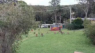 Durras North camp ground