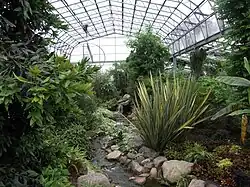 Temperate House in the Winter Gardens