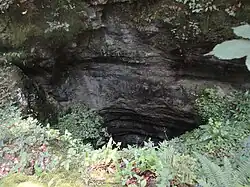 Double Shaft by Cink Cross Mass Grave