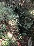 Double Shaft by Cink Cross Mass Grave