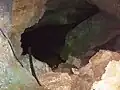 Cenote of Hacienda San Nicolás Dzoyaxché