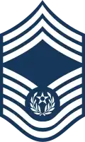 CMSAF Sleeve Insignia 1991–2004