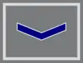 Grupo C1