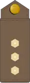 Leitnant (Estonian Land Forces)[30]