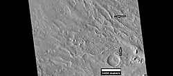 Inverted stream channels on crater slope, as seen by HiRISE under HiWish program Location is Diacria quadrangle.