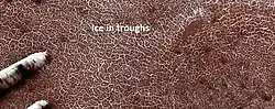 Color view of defrosting dunes and ice in troughs of polygons, as seen by HiRISE under HiWish program