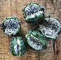 Ripe fruits