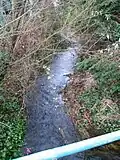 Eagle Creek at Phillips Ave. and Woodbrook Pl., near Greystone Mall
