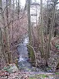 An Eagle Creek tributary south of Birkdale Pl.