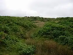 Soil mounds piled near the course of a small stream
