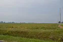 Fields east of Custar