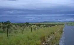 Landscape near Middledrift