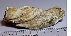 Side