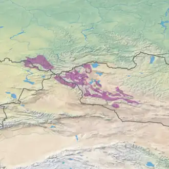 Altai montane forest and forest steppe in purple