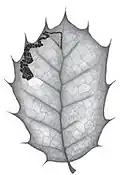 Leafmine