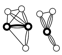 The marked edge is contracted into a single node.