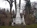 Grave of Eduard Albert in a cemetery in Vienna