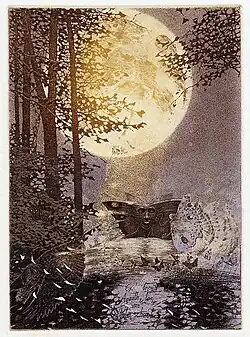 Night butterflies