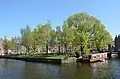 'Dodoens' (left to centre) lining north side of Eerste Marnixplantsoen, Amsterdam, 2017[12][13]