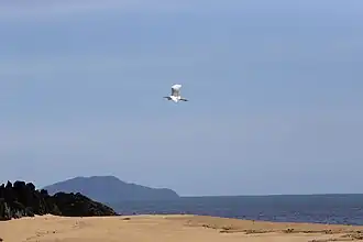 Beach at East Russell, 2013