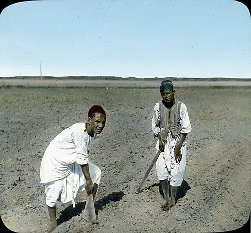Fellahin with hoes in the fields near Cairo
