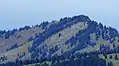 Eineguntkopf (1639 m)