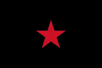 Flag of the EZLN and the Neozapatista ideology