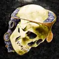 Woman's skull with diadem