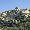 Detail of the landscape near the summit