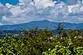 El Toro from Yabucoa