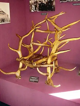 Elk horn chair