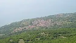 Elšani