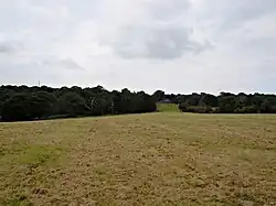 Oxleas meadows (Green Chain Walk)