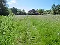 Brook Meadow (Emsworth)