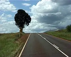 Isis Highway between Apple Tree Creek and Bundaberg